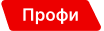 Профессионал